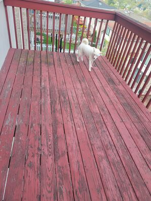 Before & After Deck Staining in Fort Lee, NJ (1)