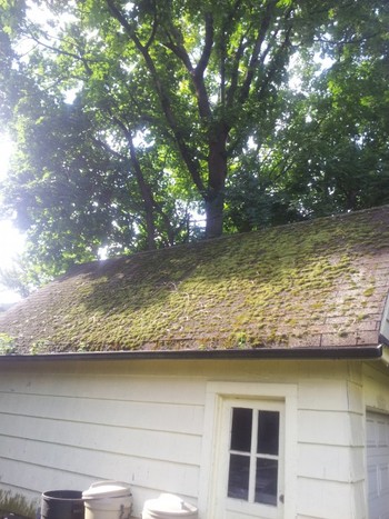 Pressure Washing the exterior walls and roof of a house in Englewood, NJ